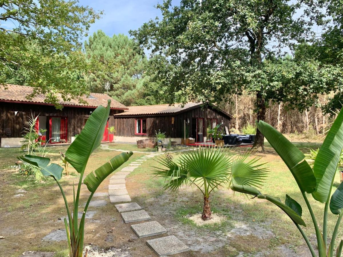 House De La Canopee, Swimming Pool, Lake, Forest, Large Garden And Wifi Уртен Экстерьер фото