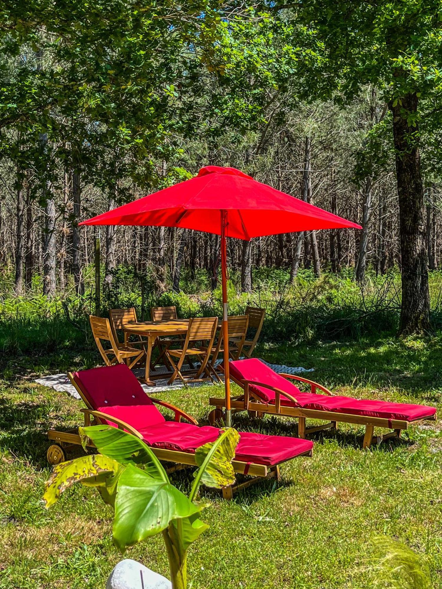House De La Canopee, Swimming Pool, Lake, Forest, Large Garden And Wifi Уртен Экстерьер фото